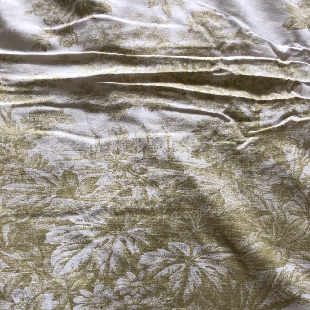 Pottery Barn Matine Toile Duvet Cover and shams